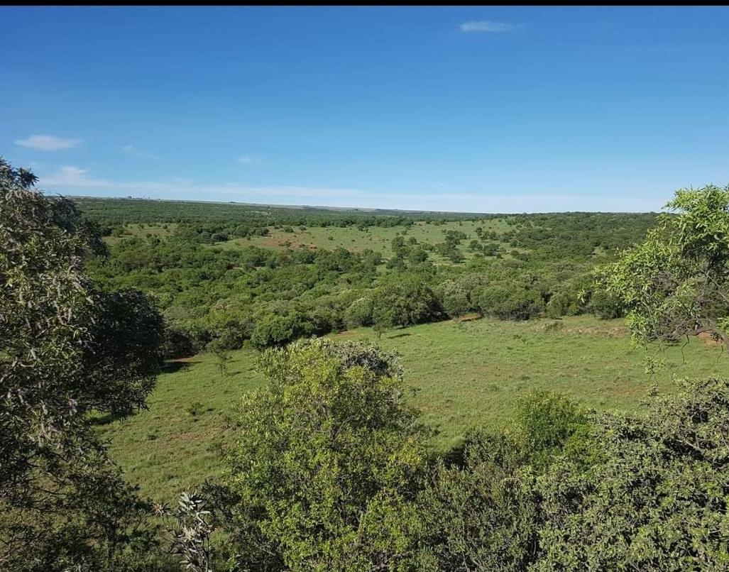 Kareekloof Game Farm Villa Derby Екстериор снимка