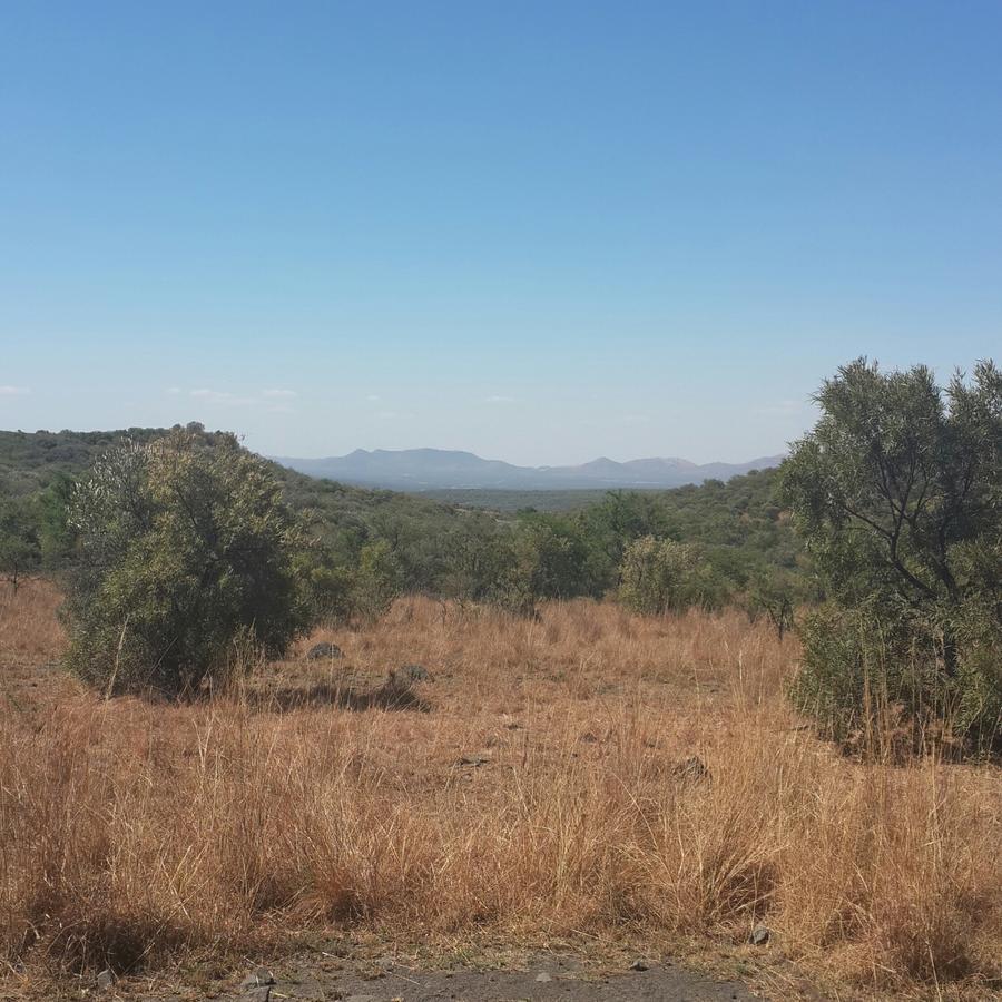 Kareekloof Game Farm Villa Derby Екстериор снимка